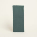 Beauty Home ΔΙΑΚΟΣΜΗΤΙΚΟ ΛΑΜΠΑΔΑΣ PREMIUM ΠΡΑΣΙΝΟ