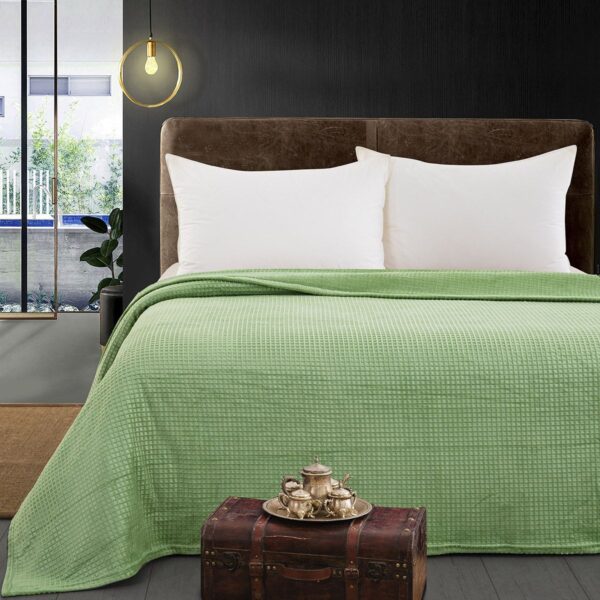 Beauty Home Κουβέρτα μονόχρωμη υπέρδιπλη Fleece Art 11552 220x240 Πράσινο
