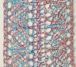 Beauty Home ΠΟΥΓΚΙ ΔΑΝΤΕΛΑ ΧΡΩΜΑΤΑ 12 x 17 cm - Image 11