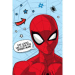 Κουβέρτα Flannel Spiderman Job Borea Home Textiles 100 x 150 cm